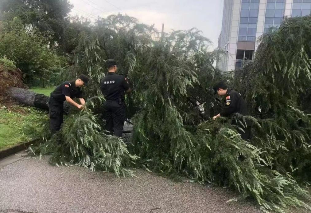 C:/Users/BA/Desktop/風雨過后南京保安迅速行動，恢復安“寧”面貌/1.jpg1